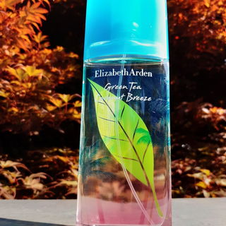 🌞🍂💙🥰 Farbensommer, Sommerfarben. Ganz langsam werden die Sonnenstunden weniger und der Herbst schickt seine Grüße mit bunten Blättern. Ich freue mich über Euren Besuch und sage Danke. Viele liebe Grüße, eine schöne Restwoche und ein schönes Wochenende. Kailani🥰💙🌞🍂