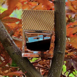 Oud Balsam - Feel Oud