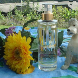 Gieffeffe - Gianfranco Ferré