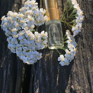 Tuberosa von Michele Bianchi