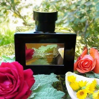 Strictly Private (Eau de Toilette) by Baldessarini