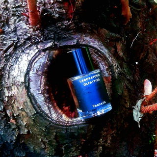 Vanhera - Laboratorio Olfattivo