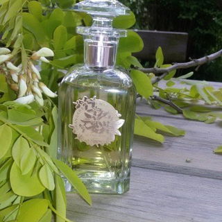 Orangers en Fleurs (Eau de Parfum) von Houbigant