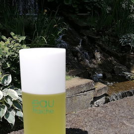Eau Fraiche / Body Basics - Eau Fraiche - Elizabeth Arden