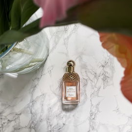 Aqua Allegoria Orange Soleia - Guerlain