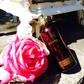 Deep Roses - Montale