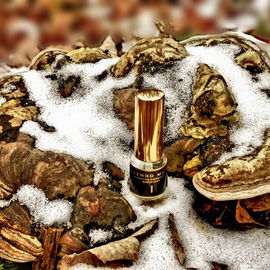 1 - Bergamot, Tea Leaf, Sandal Wood - Rosendo Mateu - Olfactive Expressions