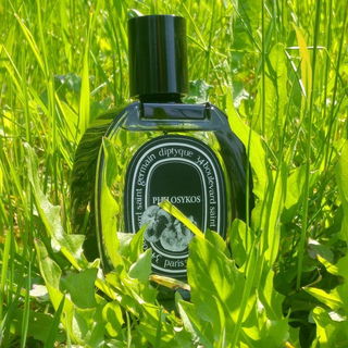 Philosykos (Eau de Parfum) von Diptyque