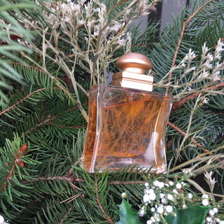 Passend in der Adventzeit