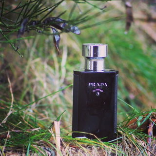 L'Homme Intense von Prada