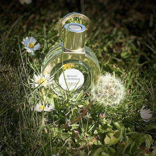 Muguet du Bonheur (2021) - Caron
