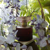 Blütenregen,  berauschendes Lebenselexir, zart wie ein Flügelschlag,  mystisch (by Bille74)