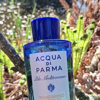 Mandarino di Sicilia - Acqua di Parma