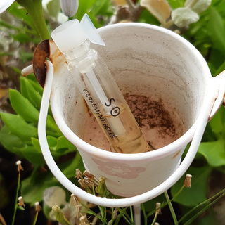 So (Eau de Parfum) - Carrement Belle