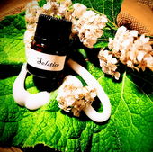 Blütencremespuren (von FrauKirsche)