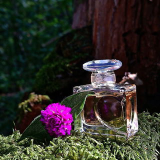 Quelques Notes d'Amour L'Eau de Parfum - Yves Rocher