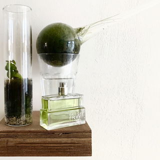 Envy for Men (Eau de Toilette) by Gucci