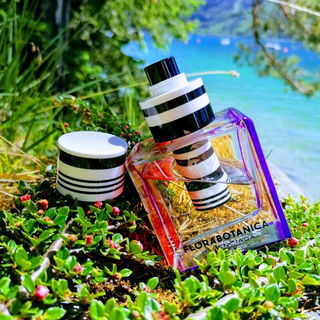 Vetiver Pamplemousse (Eau de Parfum) / N°01 Vetiver Pamplemousse - Zara