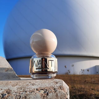 Want....back to the moon !