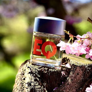 …📷🌍 Thank you. Danke schön. Merci beaucoup. Muchas gracias. Dōmo arigatō gozaimasu 💐…