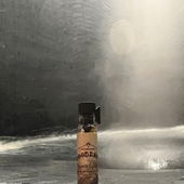 Waldbrände zerstören die wunderbaren Wälder im Nordwesten… Was bleibt, wenn wir die Erde nicht schützen? (von BeJot)