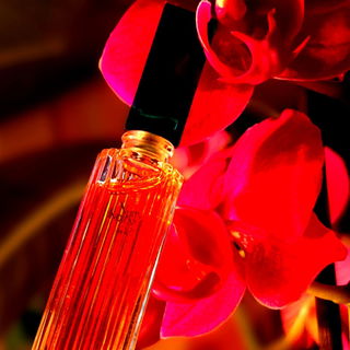 Nuits Indiennes (1993) (Eau de Parfum) / Indian Nights - Jean-Louis Scherrer