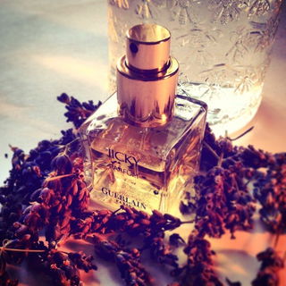 Jicky (Extrait) - Guerlain