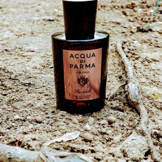 Colonia Sandalo (Eau de Cologne Concentrée) - Acqua di Parma