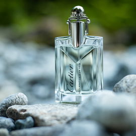 Déclaration d'Un Soir - Cartier