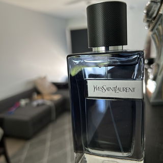 Y Live by Yves Saint Laurent