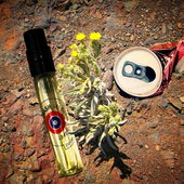 Müllblumen (von NuiWhakakore)