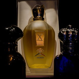 1881 Signature - Cerruti