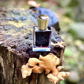 Oud Luwak II von Areej Le Doré