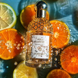 Aqua Allegoria Orange Soleia - Guerlain