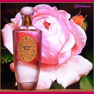 Tentación de Rosas - Victorio & Lucchino