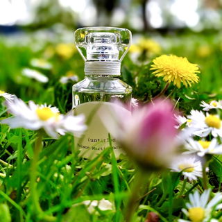 Für S💓, Dankeschön für diese Möglichkeit