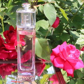 Dior Addict Eau Fraîche (2014) - Dior