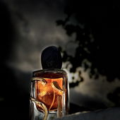 Vielen lieben Dank fürs Vorbeischauen und die schönen Kommentare! 🧡 (by DANA17)