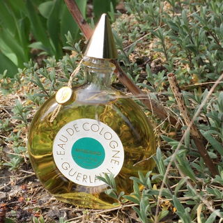 Mitsouko (Eau de Cologne) - Guerlain