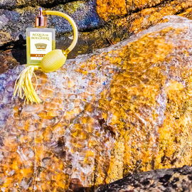 Acqua di Bolgheri - Dolce - Dr. Taffi