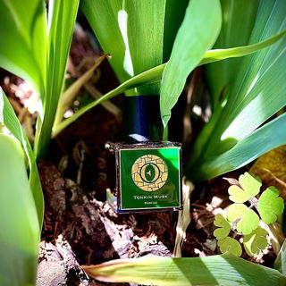 Tonkin Musk - Ensar Oud