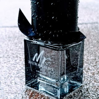 Mr. Burberry Indigo - Burberry