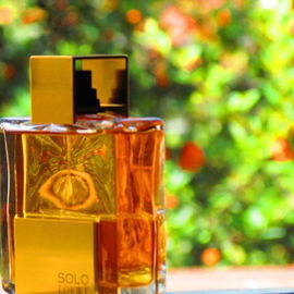 Solo Absoluto - Loewe