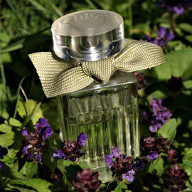 L'Eau de Chloé - Chloé