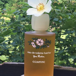 Eglantine von Yves Rocher