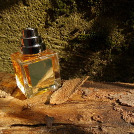 Collection Excessive - Aurore Nomade - The Different Company