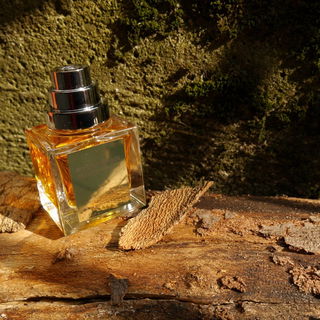 Collection Excessive - Aurore Nomade - The Different Company