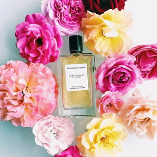 Rose Velours - Van Cleef & Arpels