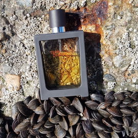 Terre d'Hermès (Parfum) - Hermès