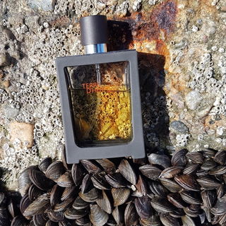 Terre d'Hermès (Parfum) - Hermès